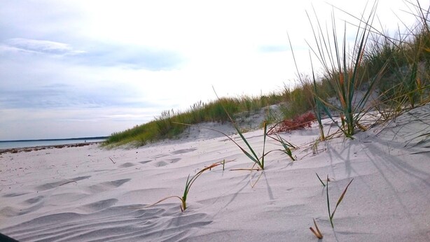A sandy beach with sparse vegetation and a distant view of the sea.