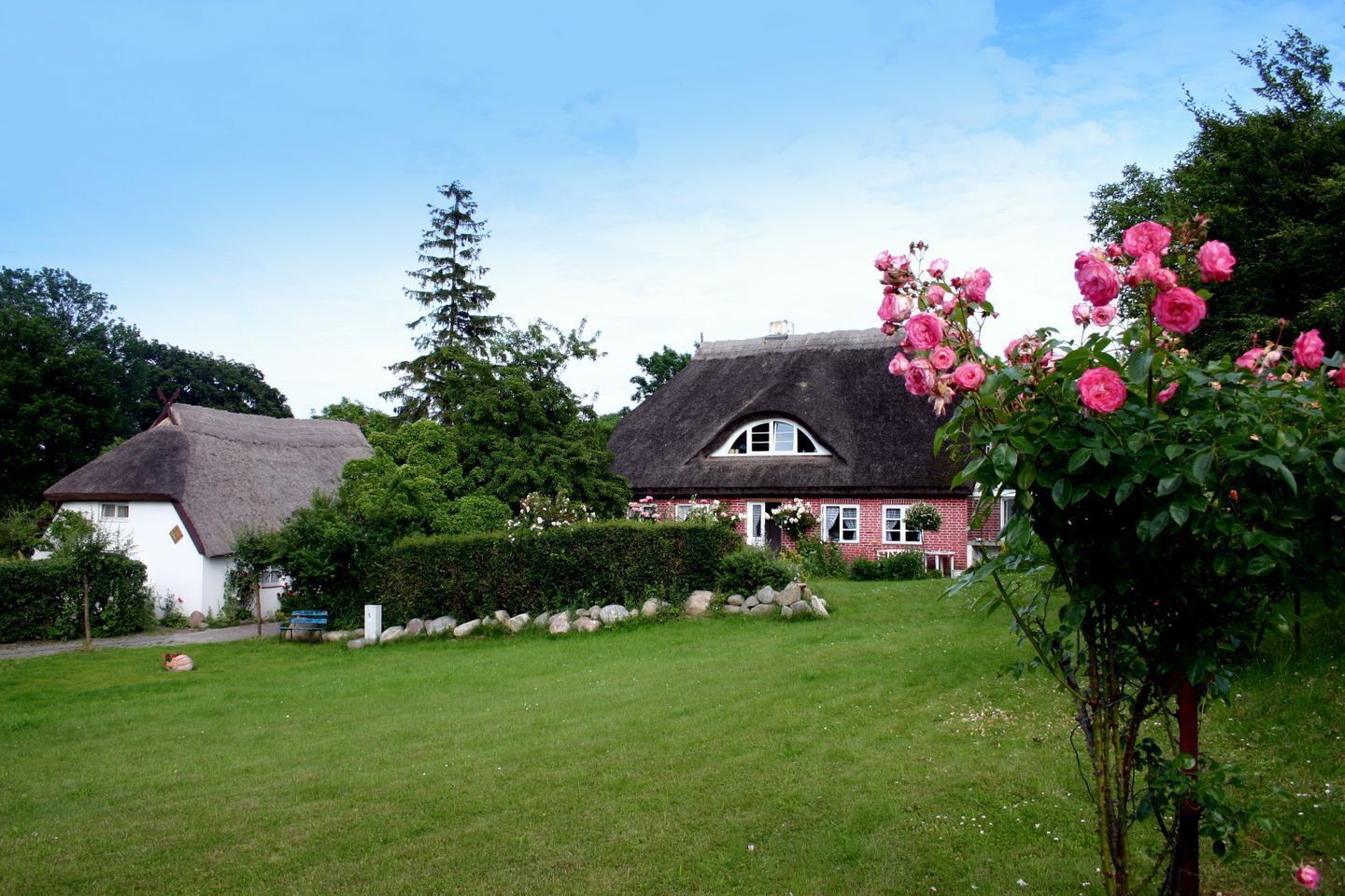 Ein traditionelles Haus mit einem Reetdach, umgeben von einem gepflegten Garten und einem großen Busch mit rosa Blüten.