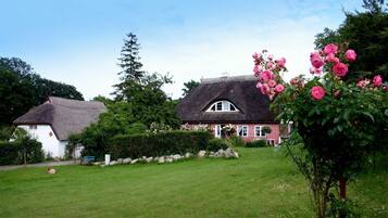 Ein traditionelles Haus mit einem Reetdach, umgeben von einem gepflegten Garten und einem großen Busch mit rosa Blüten.