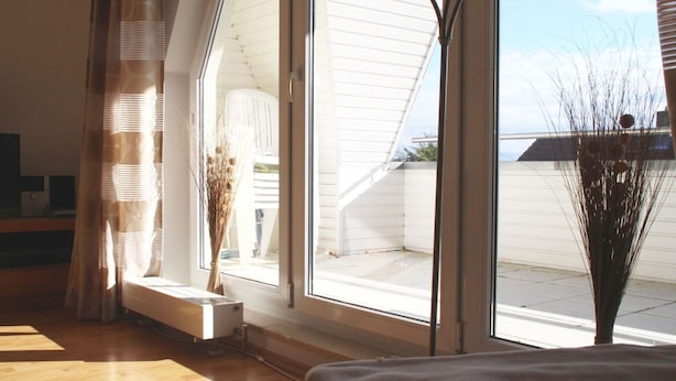 A room with a large window, a wooden floor, and a plant near the window.