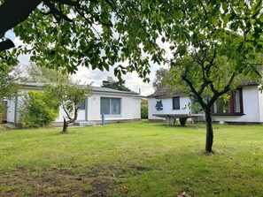 Unclassified image, 4 of 39, button