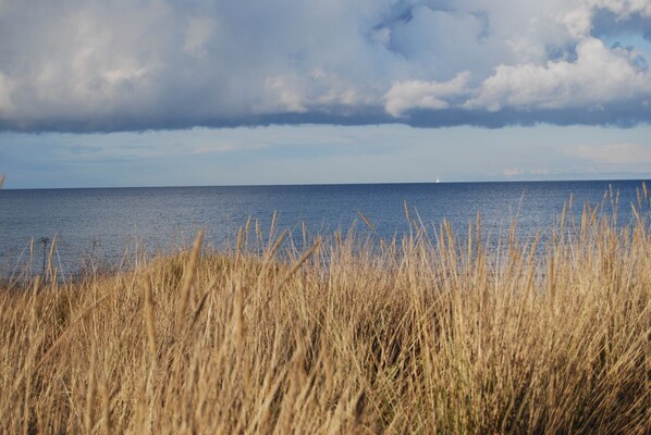 Imagen sin descripción, 1 de 22, botón