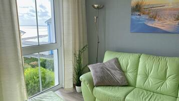 Fernseher, Stereoanlage