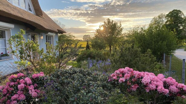 A house with a thatched roof, surrounded by a garden with pink and purple flowers. - Reethaus Vilmnitz - Ferienwohnung "vilm" - Reethaus Vilmnitz (Putbus)