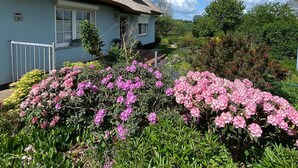 Une maison avec un toit de chaume, un numéro « 12 » bien visible sur le mur et un jardin orné de fleurs roses.