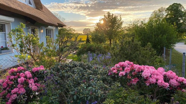 Une maison au toit de chaume, entourée d’un jardin où fleurissent des plantes aux couleurs rose et violet, et d’où l’on peut admirer le coucher de soleil.