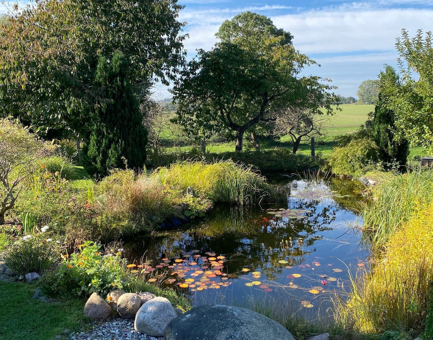 Un jardin paisible avec un étang, entouré d’une végétation luxuriante et d’arbres.