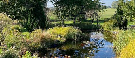 Un jardin paisible avec un étang, entouré d’une végétation luxuriante et d’arbres.
