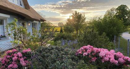 Reethaus Vilmnitz - Ferienwohnung "Muglitz" - Reethaus Vilmnitz