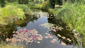 A serene pond with lily pads and pink flowers, surrounded by lush greenery and trees.
