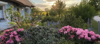 Reethaus Vilmnitz - Ferienwohnung "muglitz" - Reethaus Vilmnitz