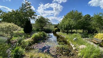 Ein ruhiger Garten mit Teich, umgeben von üppigem Grün und Bäumen.