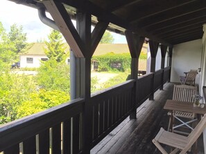 Unclassified image, 3 of 45, button