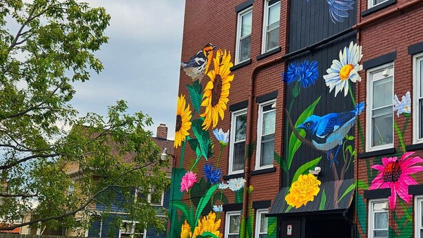 A building with colorful floral murals on its facade.