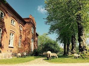 Uklassifisert bilde, 4 av 26, knapp