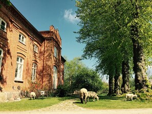 Terrein van de accommodatie