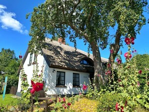 Ein weißes Cottage mit einem Strohdach, umgeben von üppigem Grün und blühenden Pflanzen.