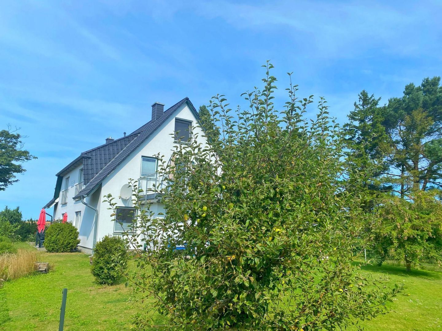 Eksteriør