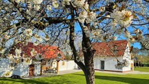 A white building with a red-tiled roof, surrounded by a well-maintained lawn and blooming trees.