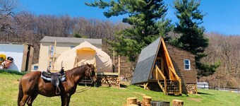 Unique & Dinamic Bell Tent at our Agritourism Farm