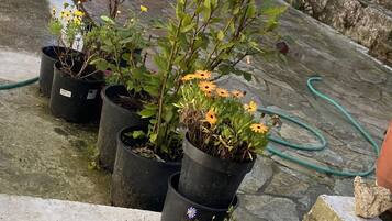 Details aan de buitenkant