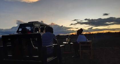 Moon Star Bed Sleeps 3 by Kilimanjaro