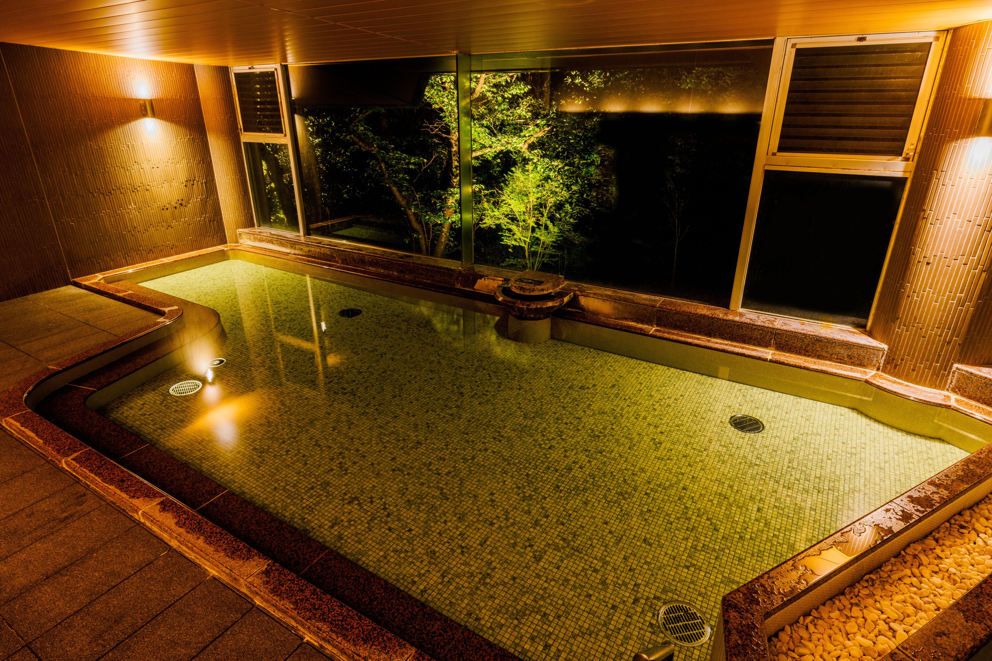 A hot spring bath with a view of trees outside.
