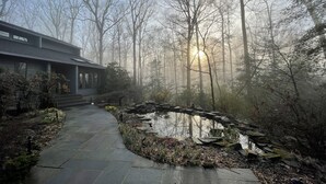 Un sendero tranquilo que conduce a un edificio de estilo tradicional rodeado por un bosque brumoso.