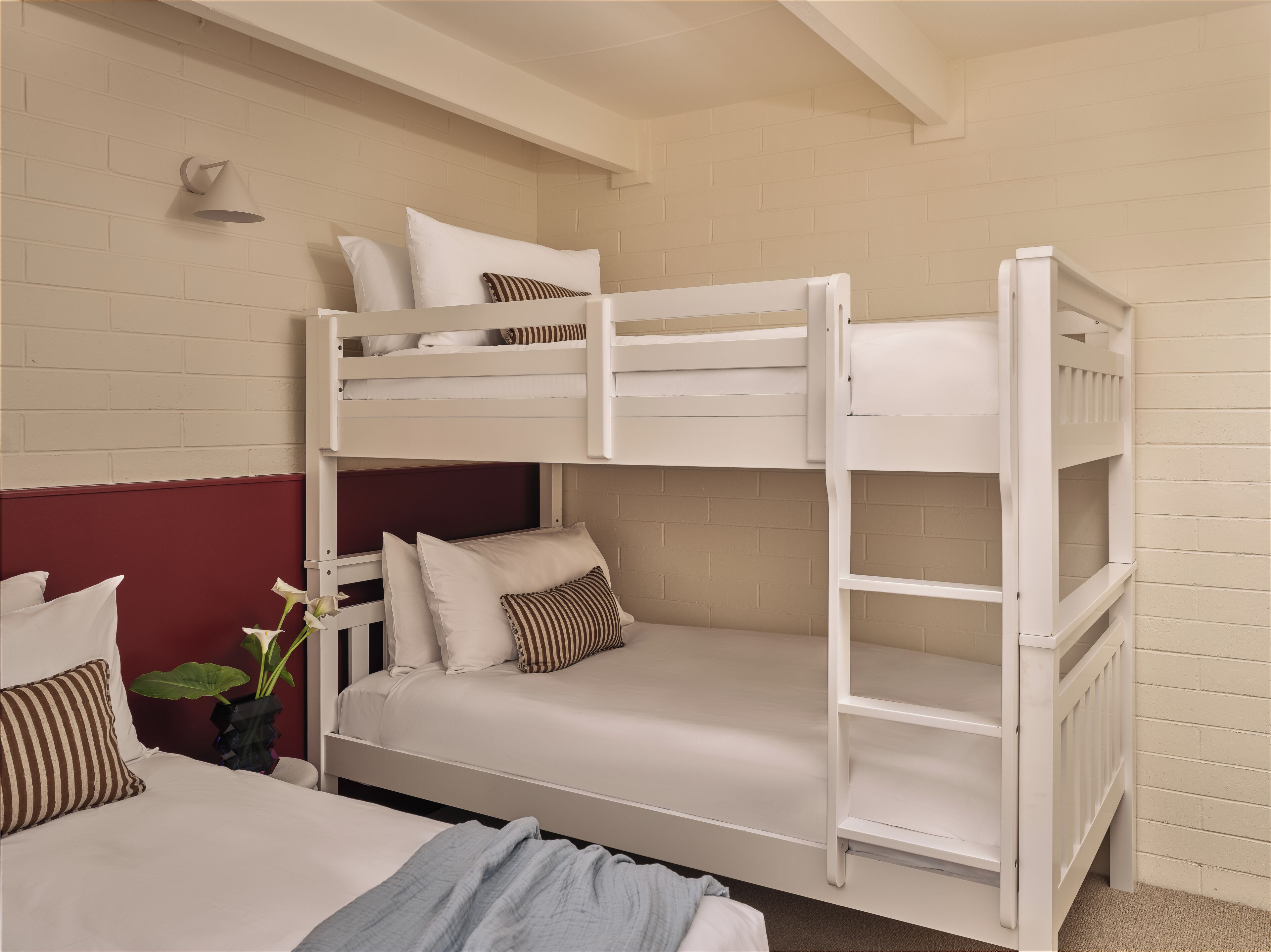 A bunk bed room with a white color scheme, a red accent wall, and a small plant.
