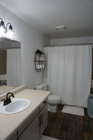 Combined shower/bathtub, hair dryer, towels, toilet paper