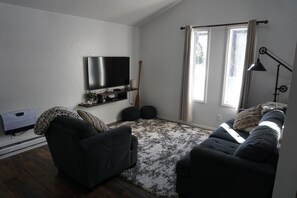 Smart TV, fireplace, books