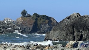 A rocky coastline with waves crashing against the shore, a clear sky, and a few birds perched on the rocks.