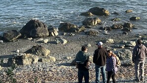 A rocky beach with waves crashing onto the shore, a sandy area with birds, and people standing on the rocks.