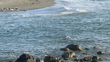Beach nearby, beach towels