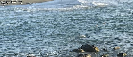 靠近海滩、沙滩毛巾