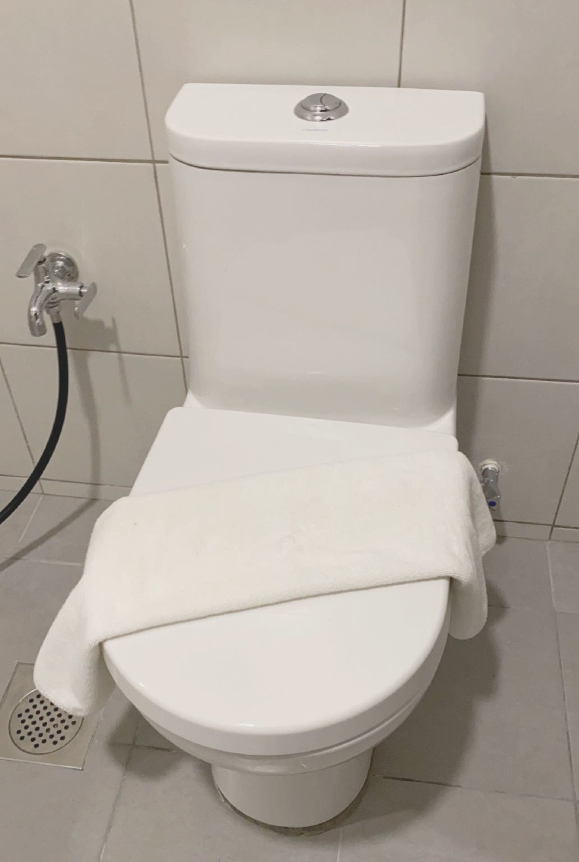 A white toilet with a tank and a bidet attachment.