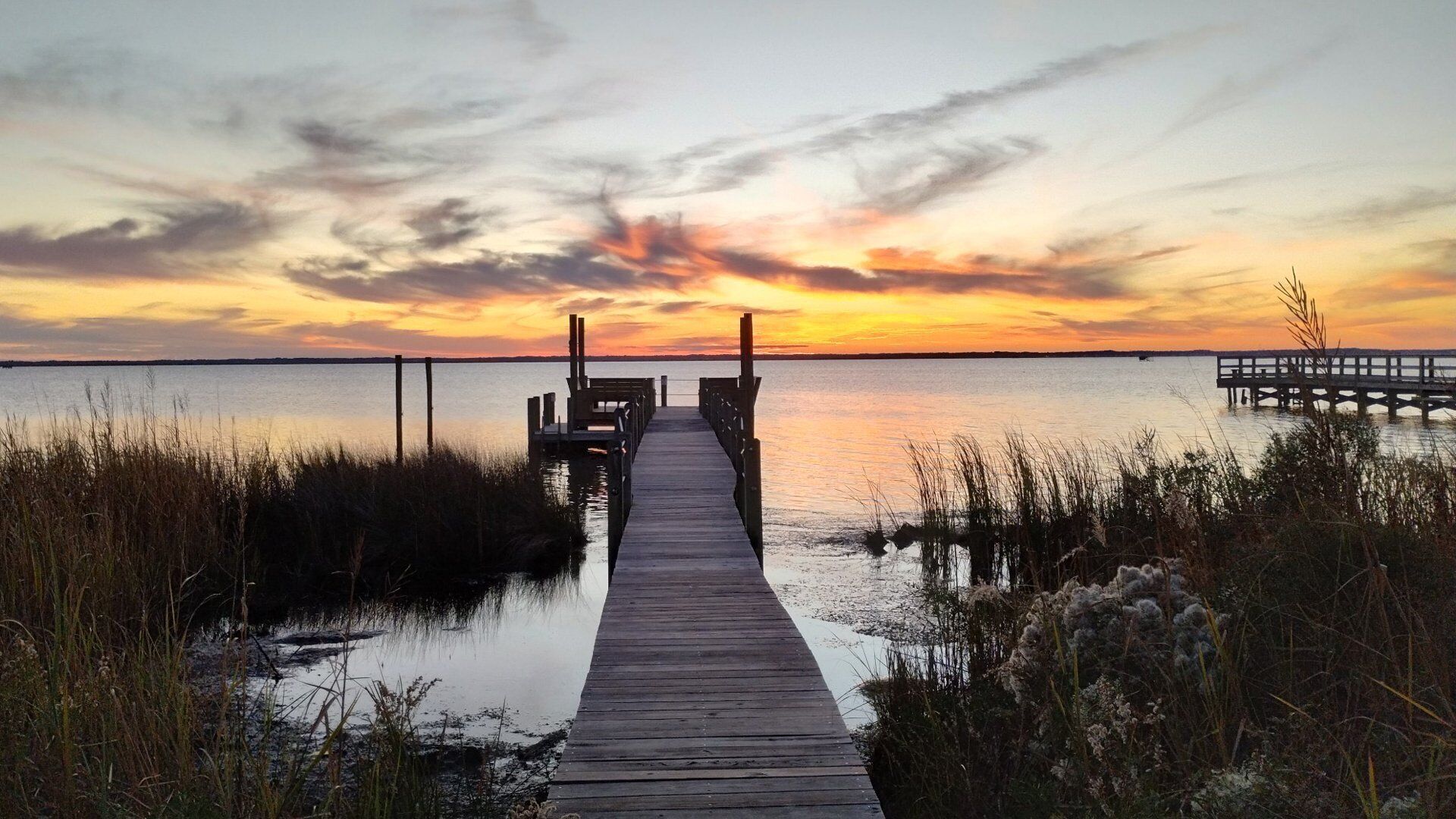 A wooden pier extending into calm water, surrounded by marsh vegetation.