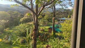 Un paisaje verde exuberante con un árbol en primer plano y un edificio pequeño con techo azul al fondo.