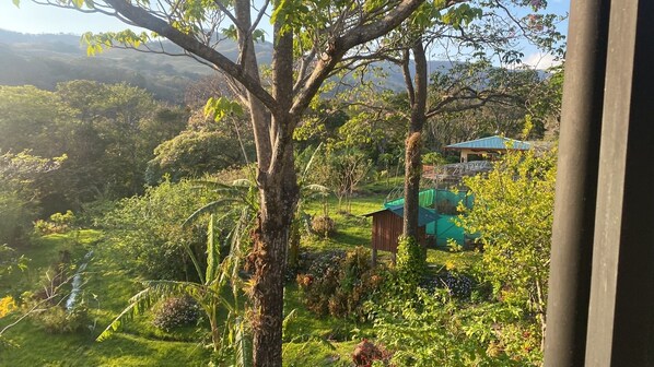 Property grounds - We’re located at Finca Indigo Monteverde, local art and history (Monteverde)