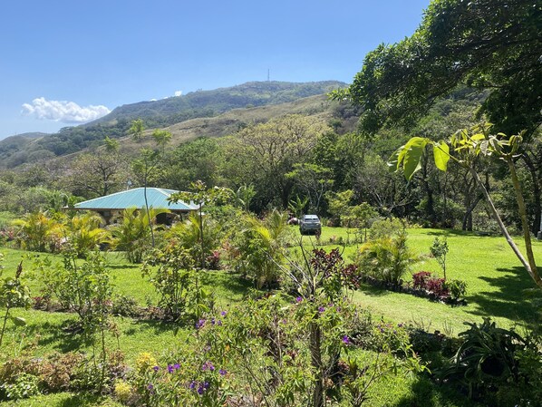 Property grounds - We’re located at Finca Indigo Monteverde, local art and history (Monteverde)