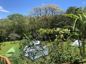 Property grounds - We’re located at Finca Indigo Monteverde, local art and history (Monteverde)