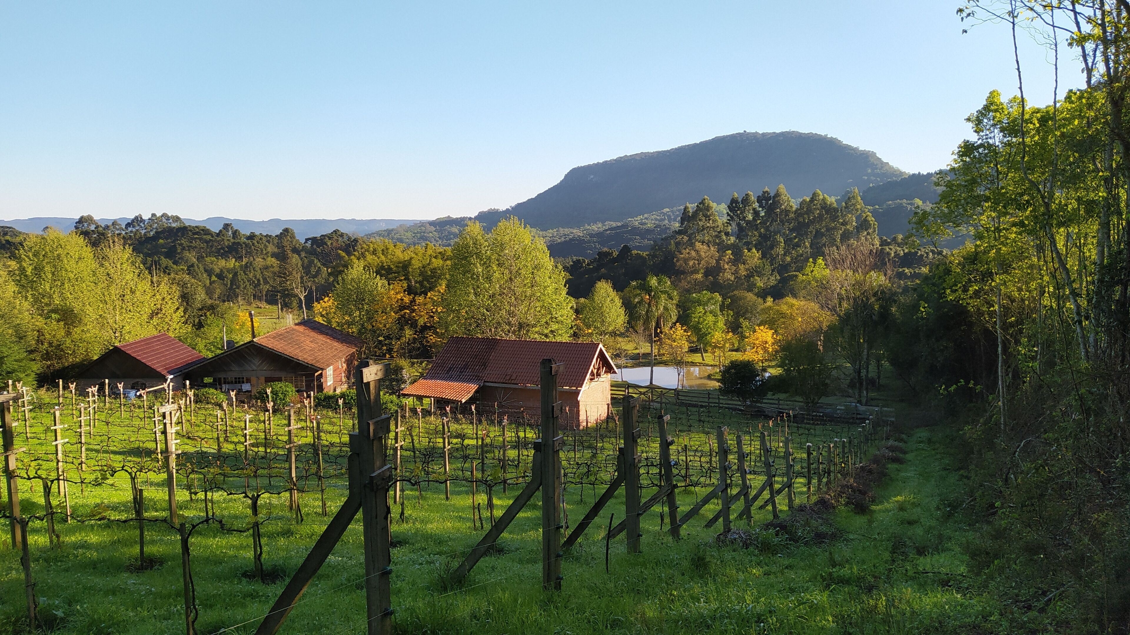 Área da propriedade