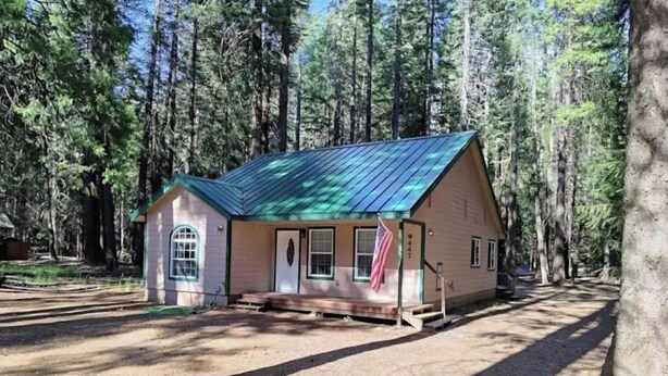A small cabin with a green roof, surrounded by tall trees. - Mt Lassen and the great outdoors (Shingletown)