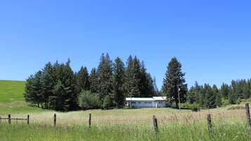 Una casa rural rodeada de árboles altos y un campo cubierto de hierba.