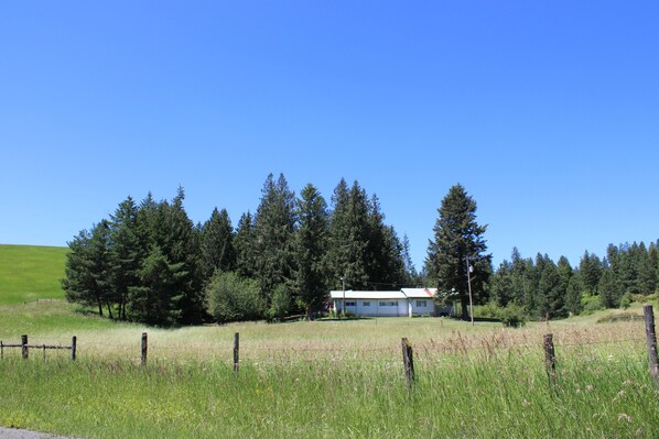 A rural house surrounded by tall trees and a grassy field.