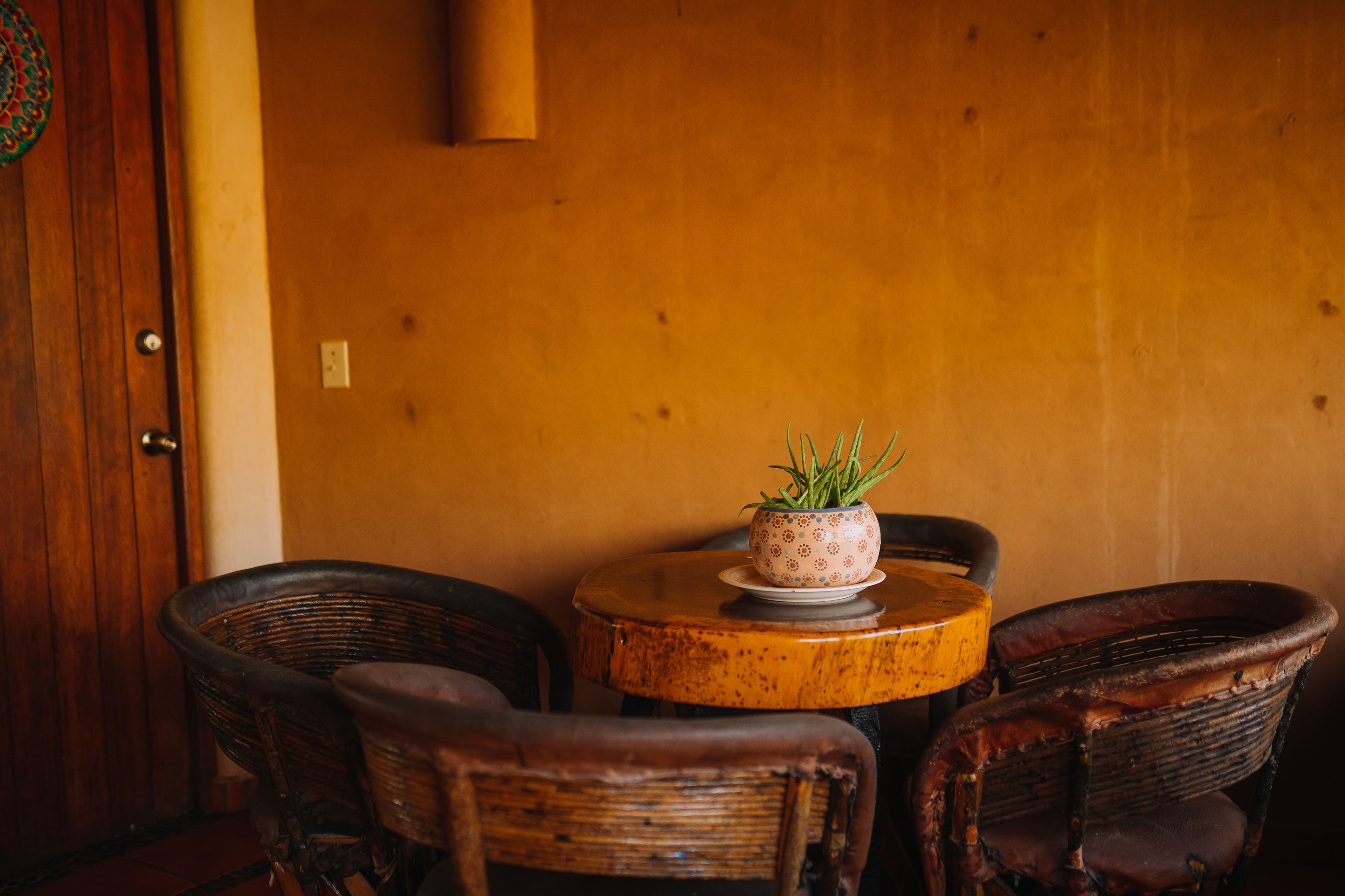 Una mesa redonda de madera con una planta en maceta, rodeada de sillas de mimbre.