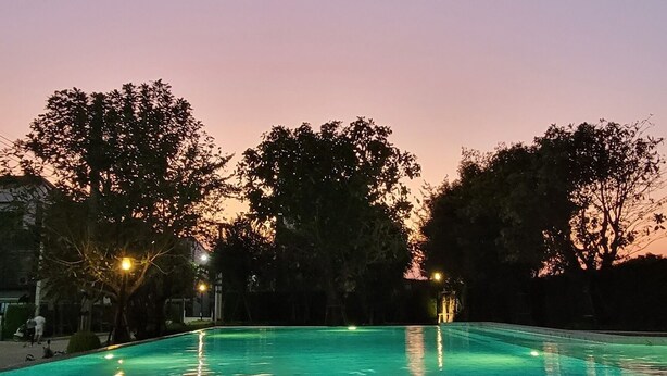 A swimming pool at dusk with a clear sky and trees in the background.