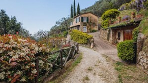 Ein rustikales Steinhaus mit einem Feldweg, umgeben von üppigem Grün und Bäumen.