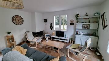 Télévision, cheminée, lecteur de DVD, livres