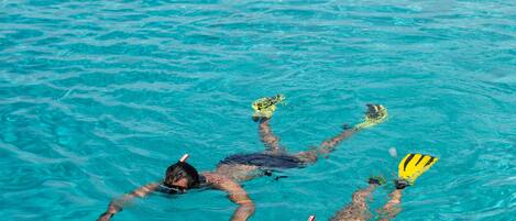 A person swimming in clear turquoise water with a distant island in the background.